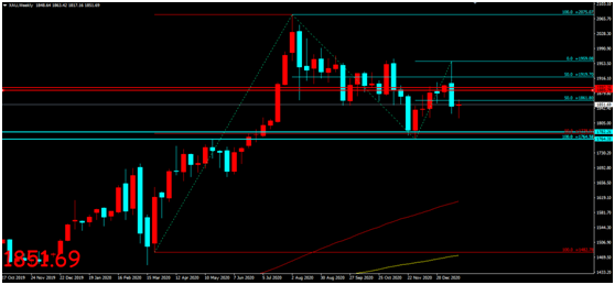 Jinrong China: Biden Announces1.9Trillion stimulus plan, gold prices slightly rise and fluctuate...669 / author:Jinrong China340 / PostsID:1596088