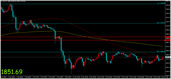 Jinrong China: Biden Announces1.9Trillion stimulus plan, gold prices slightly rise and fluctuate...14 / author:Jinrong China340 / PostsID:1596088